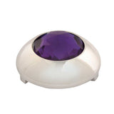 Kenworth Chrome Plastic Button Cover